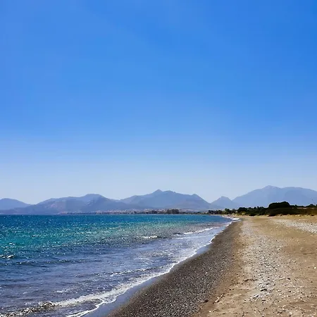 Tiny Datca